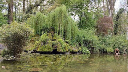 Magnétiseur, soins énergétiques Véronique Feutré, Aide à Domicile à Vélizy-Villacoublay