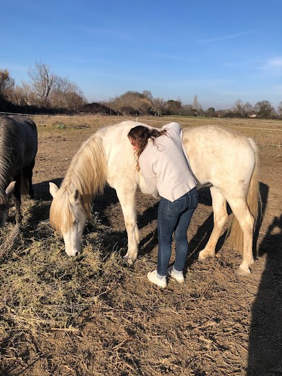 Âme’Animal communication et soins énergétiques, Aide à Domicile à Vergèze