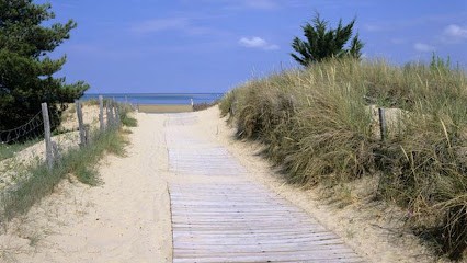 Ré DOMI'S îLE, Aide à Domicile à La Flotte