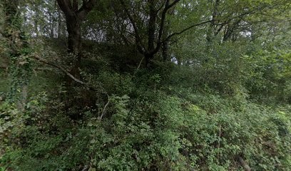 NATHA SERVICES 64, Aide à Domicile à Urrugne