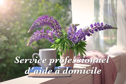 Home & Care, Aide à Domicile à Mouans-Sartoux