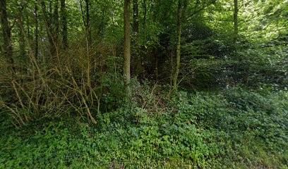 Fée pour moi, Aide à Domicile à Varces-Allières-et-Risset