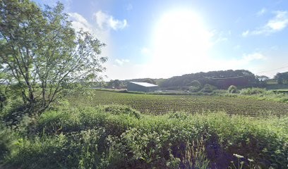 A.S.M., Aide à Domicile à Locoal-Mendon