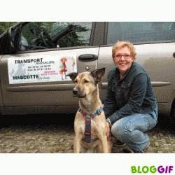 Mascotte Services, Aide À Domicile à Vigneux-sur-Seine