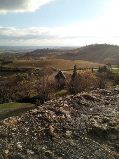 LAURAG'AIDE, Aide à Domicile à Revel