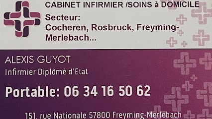 Guyot Alexis, Aide à Domicile à Freyming-Merlebach