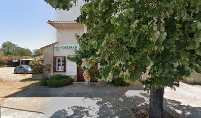 Avec mes aides à domicile à Ghisonaccia, Aide à Domicile à Ghisonaccia