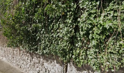 Les Enfants De Kanel, Aide à Domicile à Médan