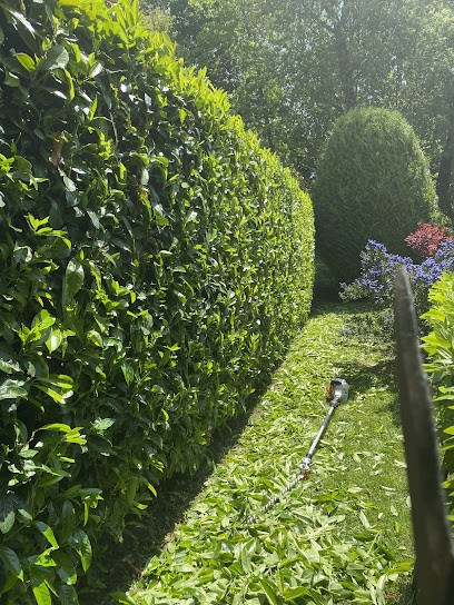 VIEDOM SERVICES, Aide à Domicile à Saint-Germain-en-Laye