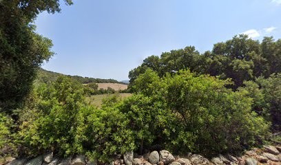 Au fil des saisons - La Conciergerie, Aide à Domicile à Porto-Vecchio