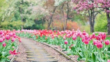Dominique et Vous - Aide à domicile, Aide à Domicile à Vert-le-Petit