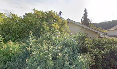 INFIRMIER, Aide à Domicile à Tourrette-Levens