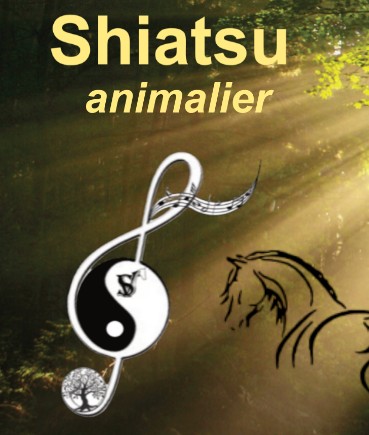Stephane Valette Shiatsu animalier, Aide à Domicile à Sainte-Maxime