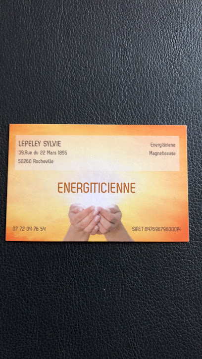 Sylvie Lepeley Magnetiseuse, Aide À Domicile à Rocheville