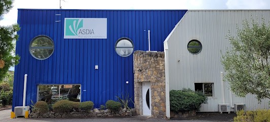 Asdia Nice, Aide à Domicile à Mouans-Sartoux