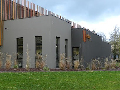 Service de Soins Infirmiers à Domicile - CONDE-EN-NORMANDIE, Aide à Domicile à Condé-en-Normandie