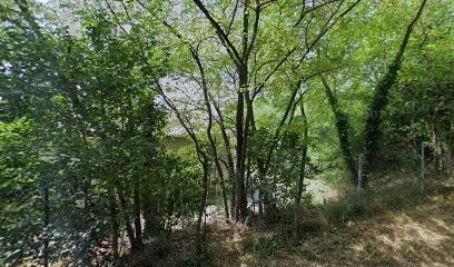 Mavaga, Aide à Domicile à Givors