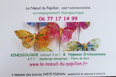 Kinésiologie et Hypnose - Le Noeud du Papillon, Aide à Domicile à Janzé