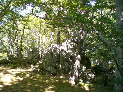 AMI des mots, cabinet d'écrivain public, écrivain conseil, Aide à Domicile à Meynes