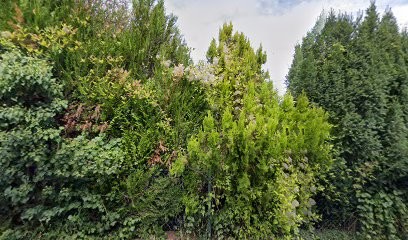 A.d.m.r, Aide à Domicile à Veynes